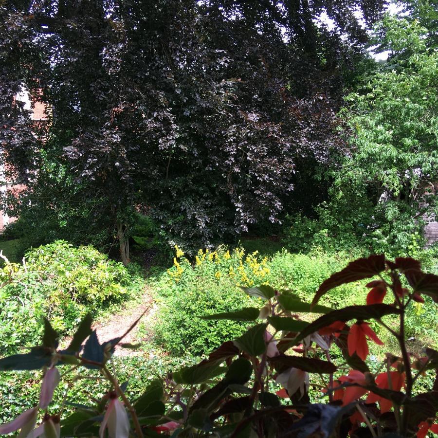 Holiday Home "Les Ancolies " Gite Citadin Спа Екстериор снимка